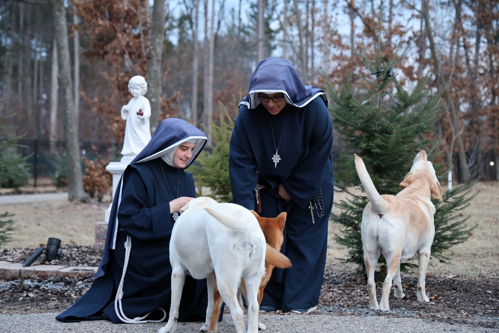 Raising Animals